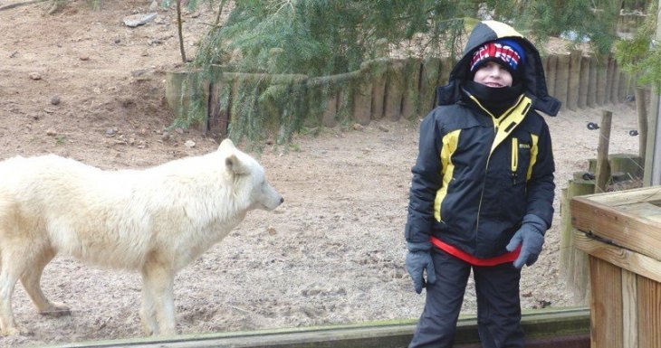 K&eacute;mi a dormi en compagnie des f&eacute;lins&hellip;