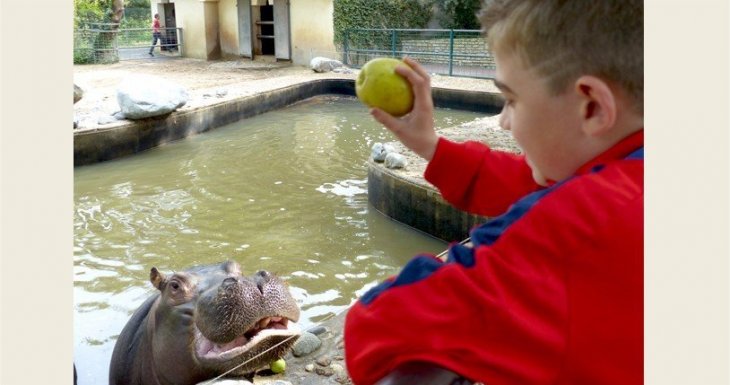 Soigneur au zoo de la Palmyre