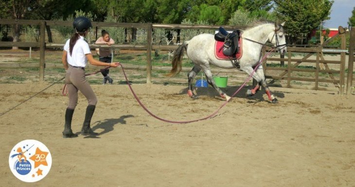 Murmurer &agrave; l&#039;oreille des chevaux