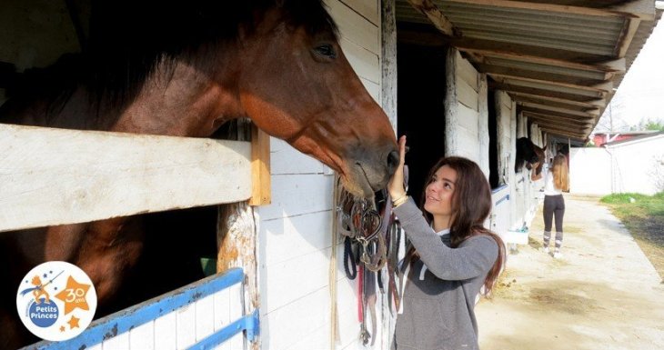 Murmurer &agrave; l&#039;oreille des chevaux