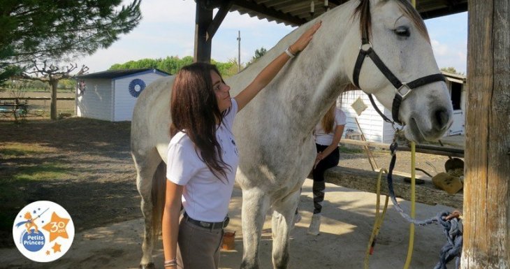 Murmurer &agrave; l&#039;oreille des chevaux