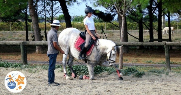Murmurer &agrave; l&#039;oreille des chevaux