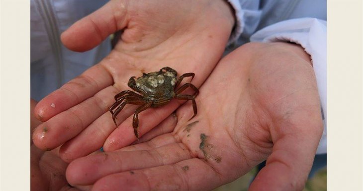 Escapade scientifique en Normandie avec le CNRS