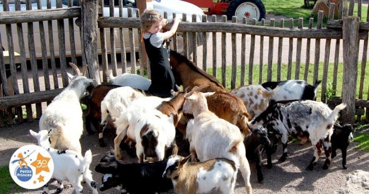 Une journ&eacute;e &agrave; la ferme