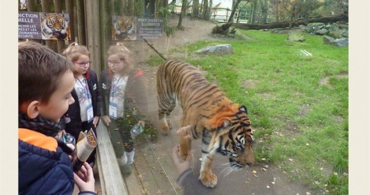 A la rencontre des animaux du zoo de la Fl&egrave;che !