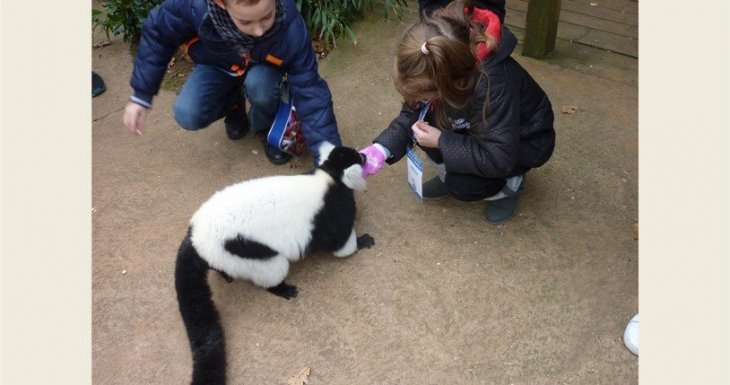A la rencontre des animaux du zoo de la Fl&egrave;che !