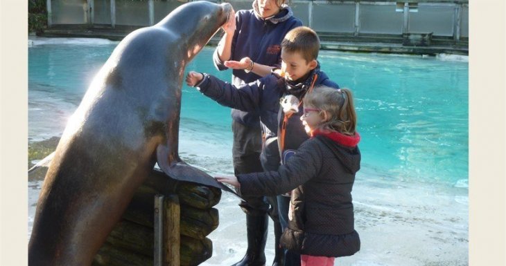 A la rencontre des animaux du zoo de la Fl&egrave;che !