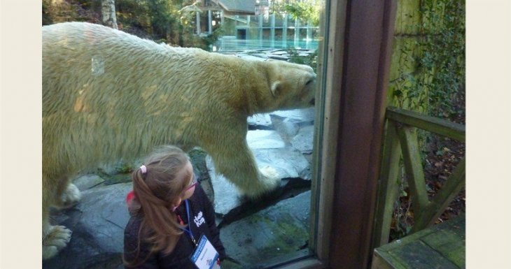 A la rencontre des animaux du zoo de la Fl&egrave;che !