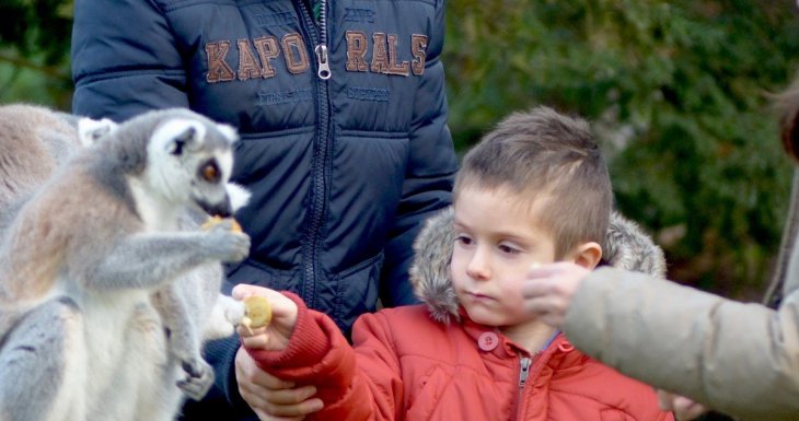 Visite VIP pour deux petits princes au parc zoologique de Thoiry