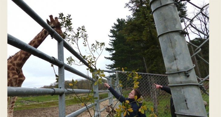 Visite VIP pour deux petits princes au parc zoologique de Thoiry