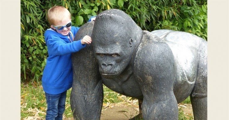 Un petit prince sur la plan&egrave;te des singes