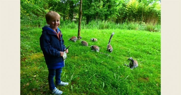 Un petit prince sur la plan&egrave;te des singes