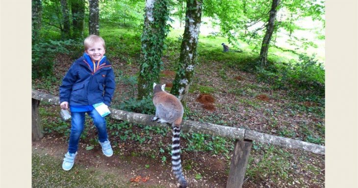 Un petit prince sur la plan&egrave;te des singes