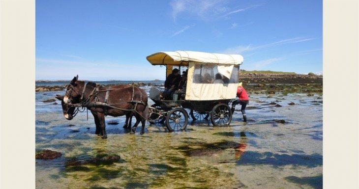 Voyage scientifique &agrave; Roscoff - H&ocirc;pital Robert Debr&eacute;, Paris